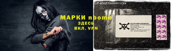 хмурый Пестово