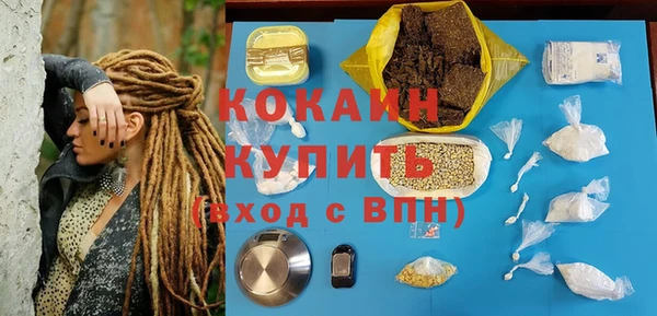 амф Пересвет