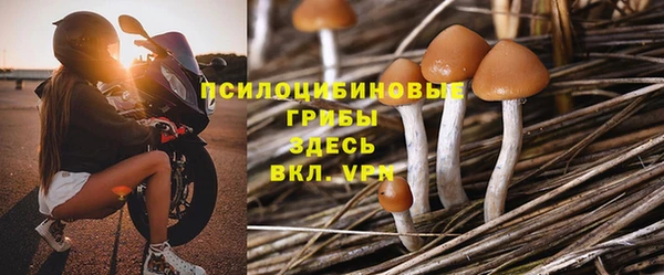 apvp Переславль-Залесский