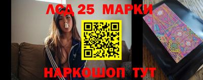 индика Аргун