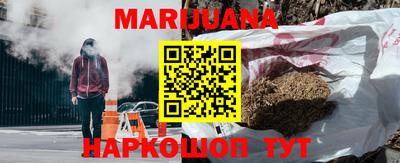 индика Аргун