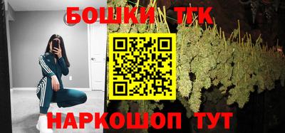 индика Аргун