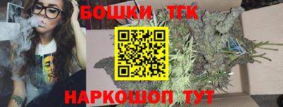 индика Аргун