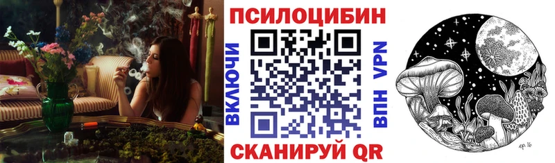Псилоцибиновые грибы Psilocybe дарк нет формула Пыть-Ях магазин продажи