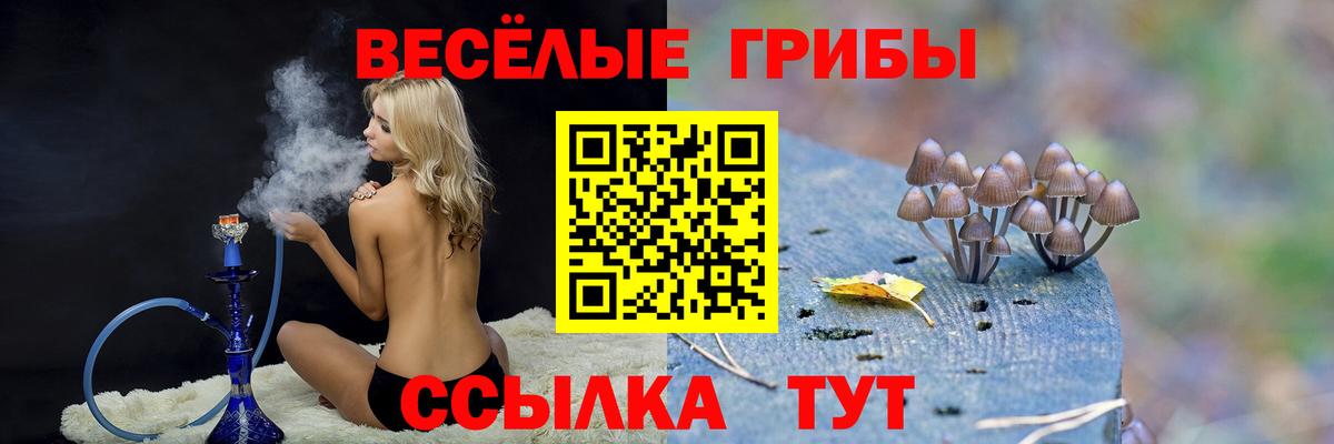 Галлюциногенные грибы Psilocybine cubensis  Вход с VPN  Пыть-Ях  Псилоцибиновые грибы Psilocybine cubensis 
